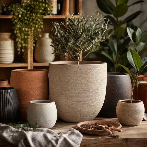 Planters & Pots