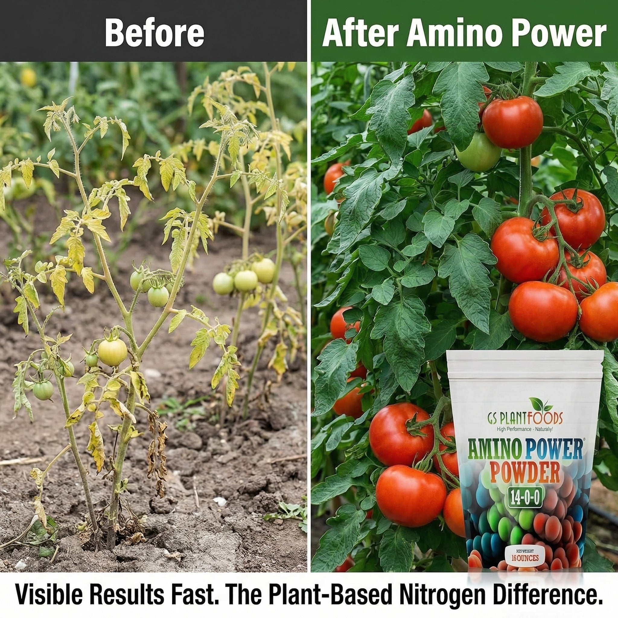 Amino Power Powder Plant-Based Nitrogen Fertilizer Soluble Formula
