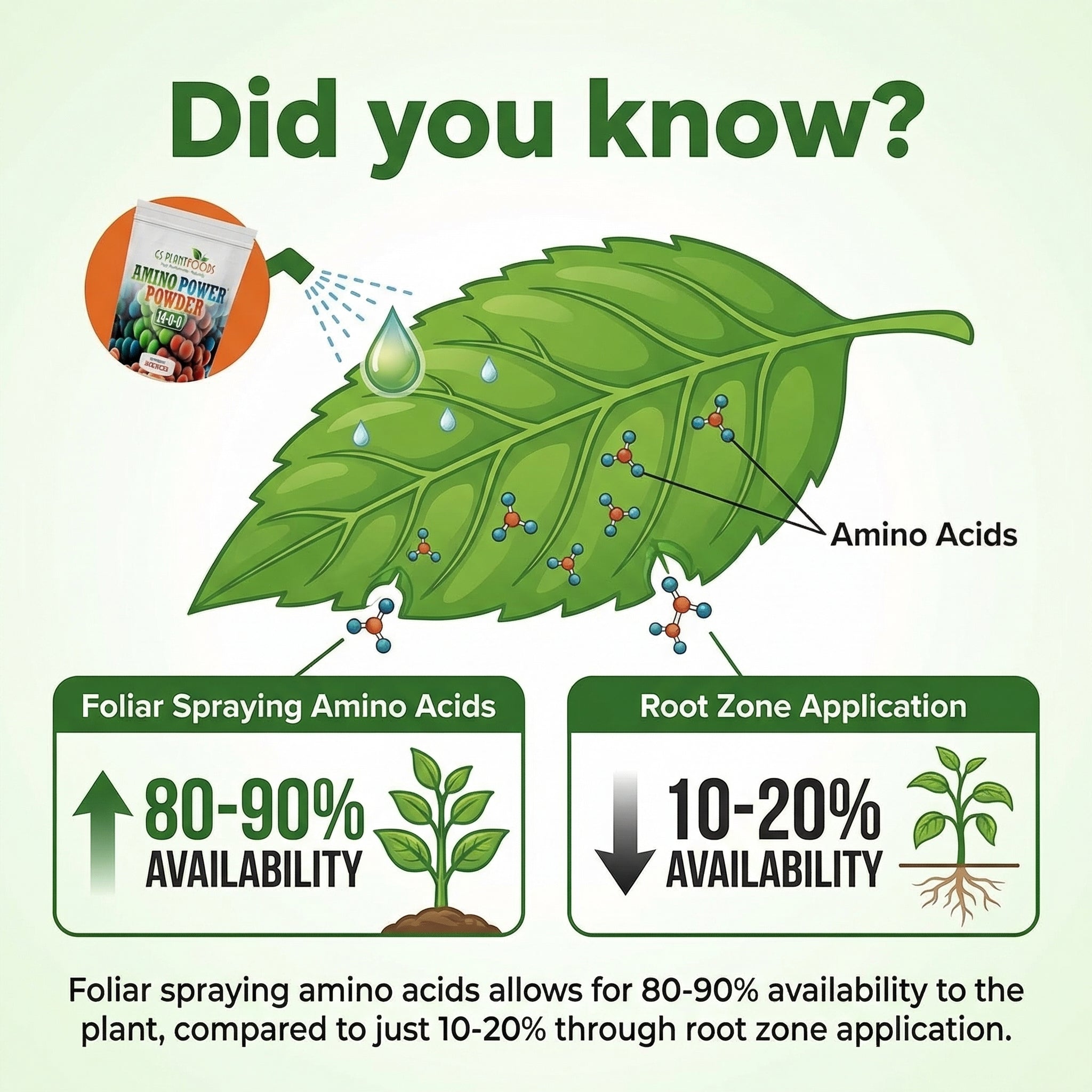 Amino Power Powder Plant-Based Nitrogen Fertilizer Soluble Formula