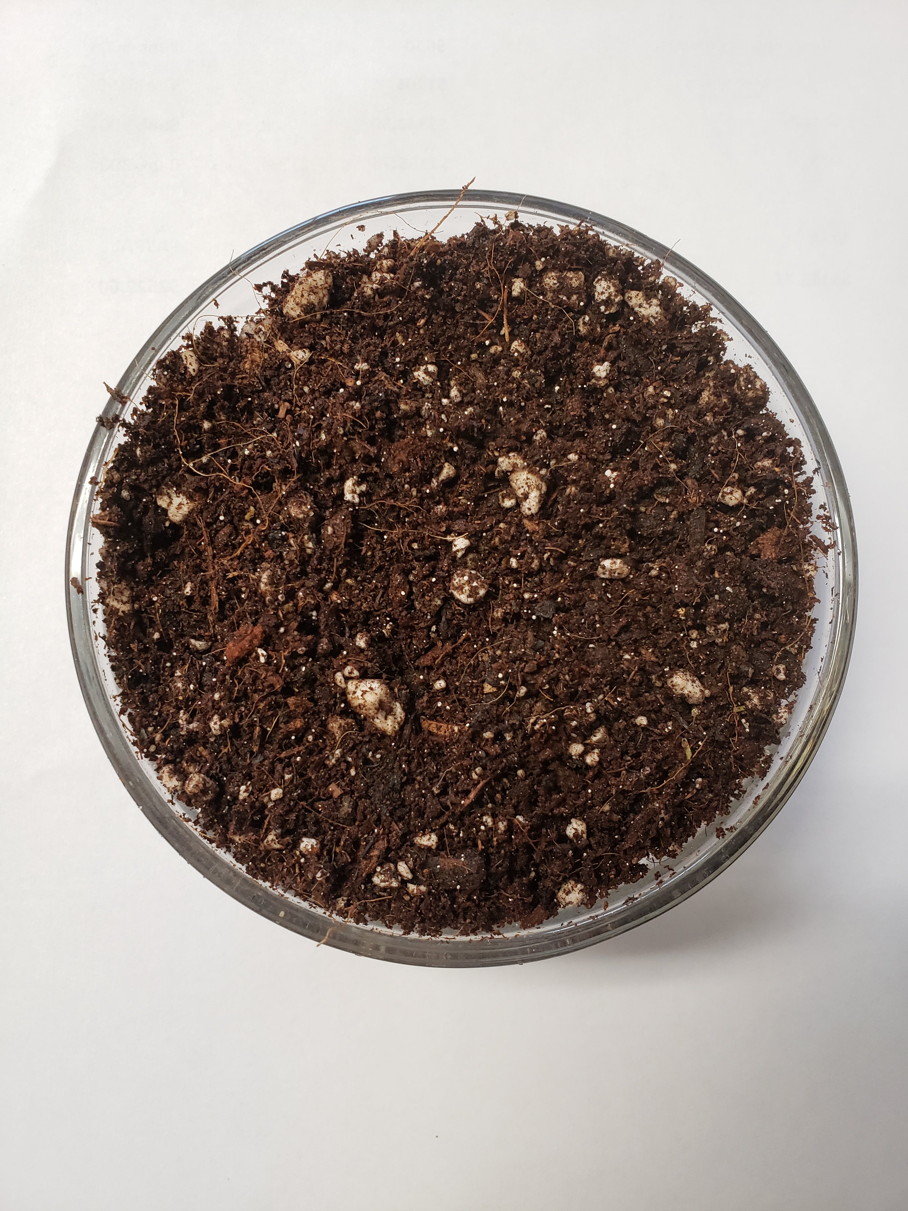 Elite Seed and Clone Soil Premium Growing Medium