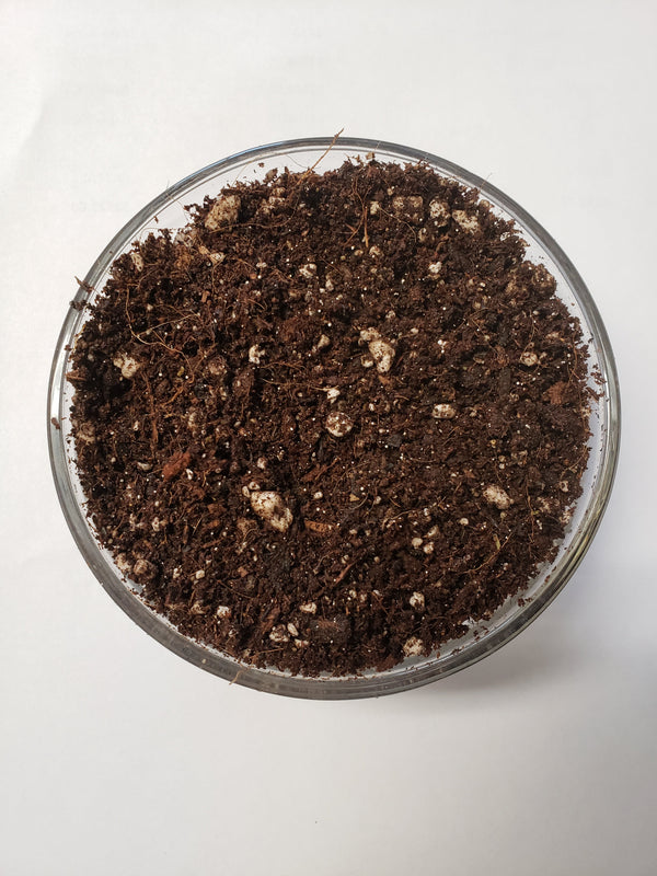 Elite Seed and Clone Soil Premium Growing Medium
