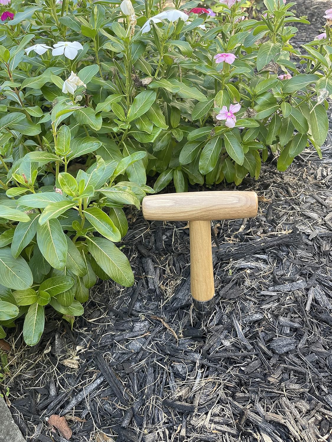 Steel Garden Dibber Planting Tool for Seed Holes