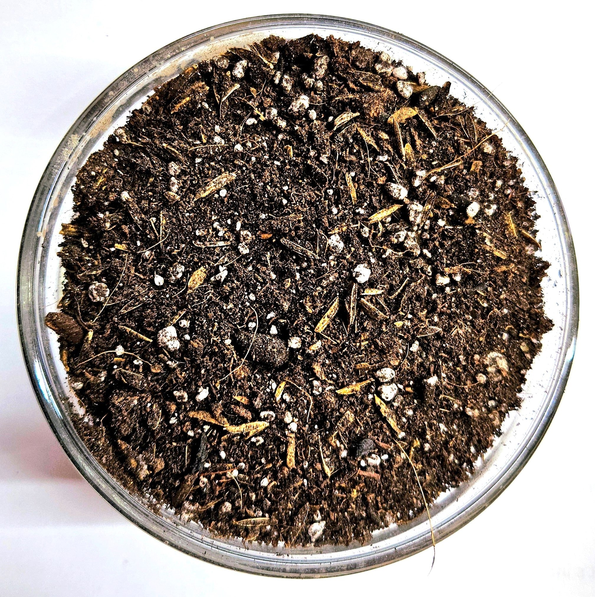 Elico Living Soil Premium Organic Growing Medium Mix