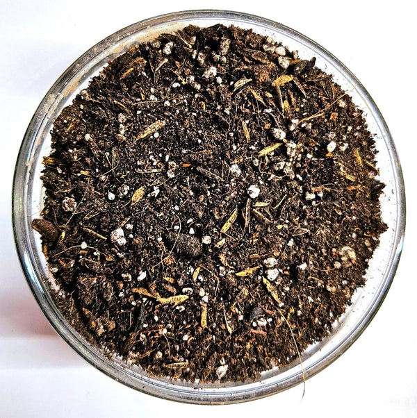 Elico Living Soil Premium Organic Growing Medium Mix