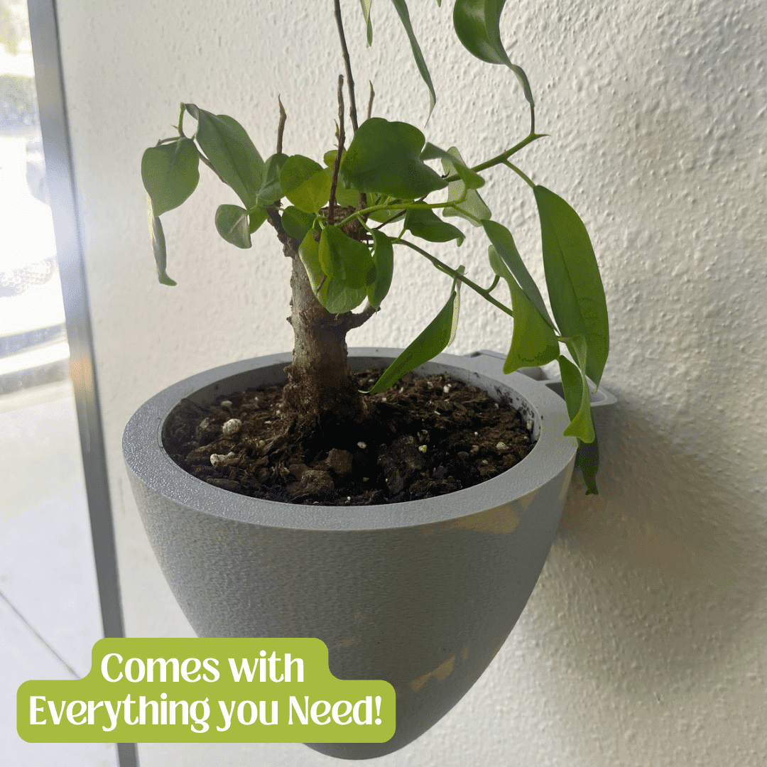 Magic Self-Watering Wall Planters with Internal Water Reservoir
