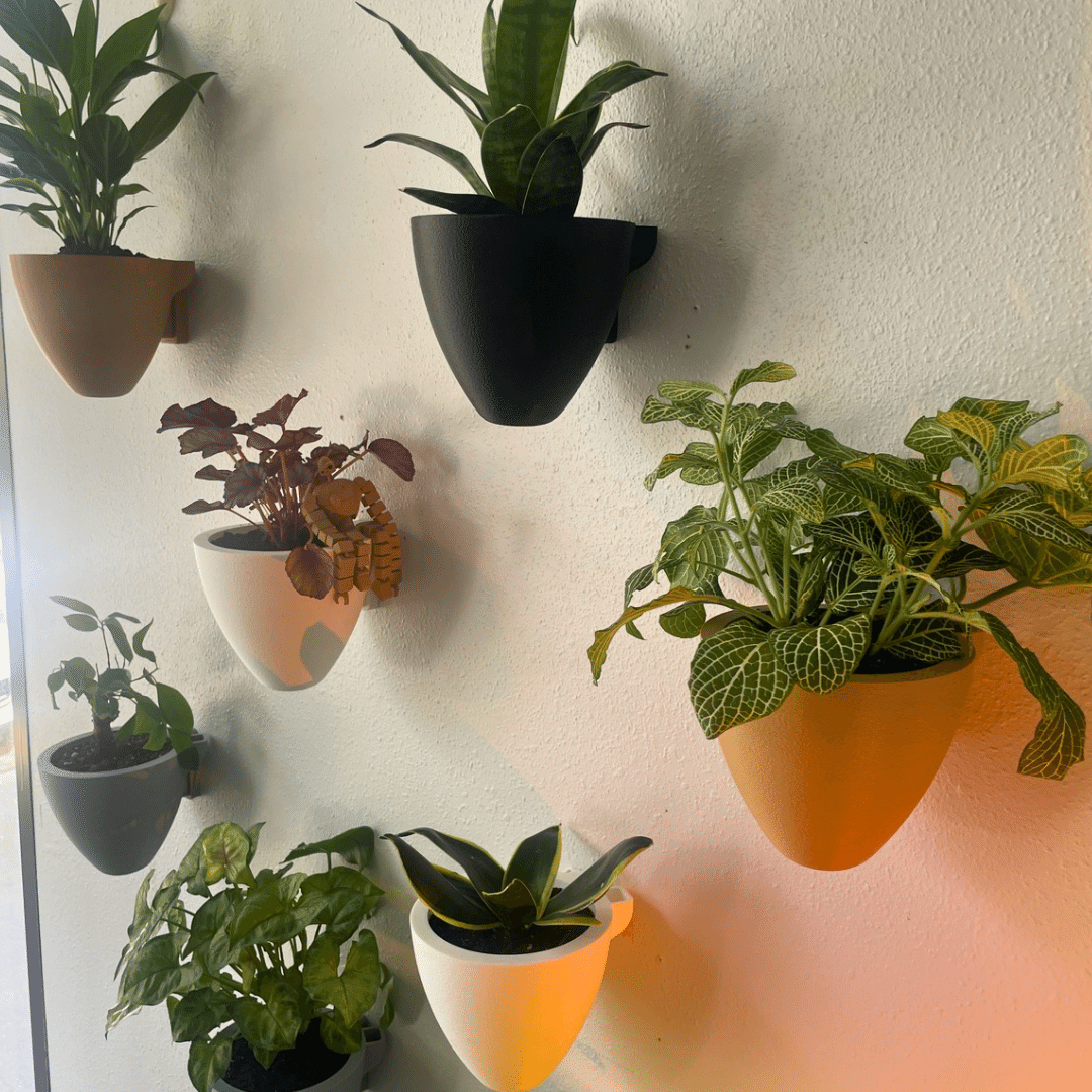 Magic Self-Watering Wall Planters with Internal Water Reservoir