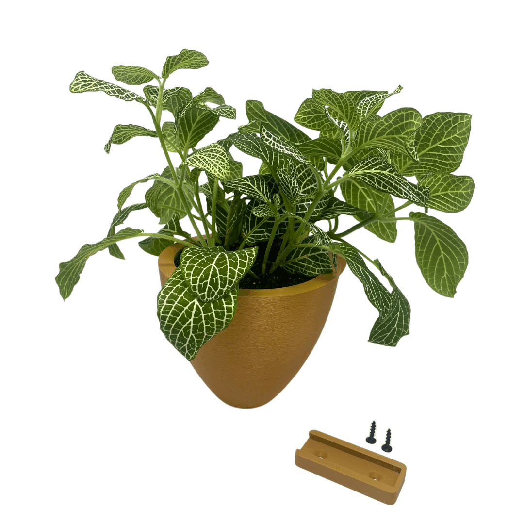Magic Self-Watering Wall Planters with Internal Water Reservoir
