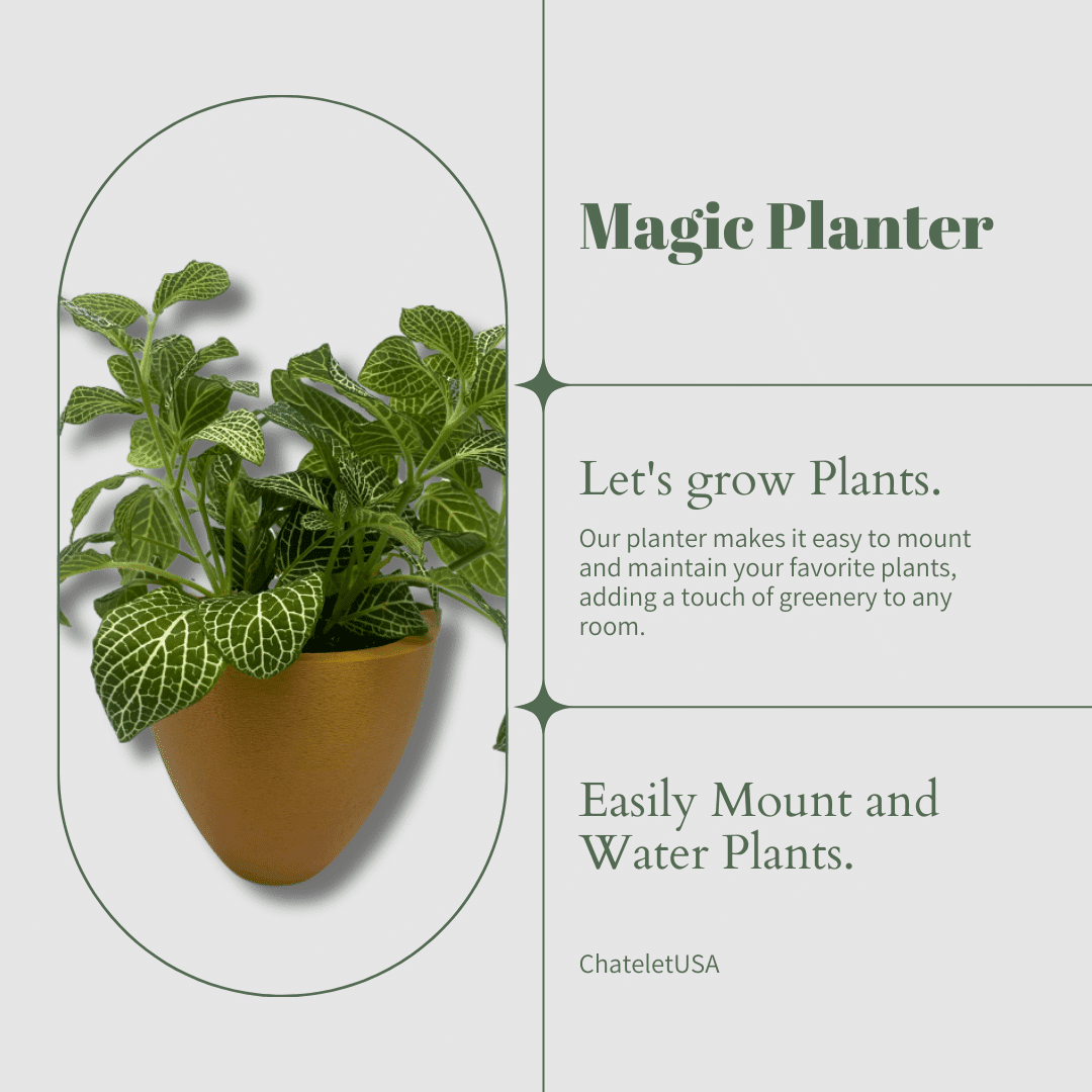 Magic Self-Watering Wall Planters with Internal Water Reservoir
