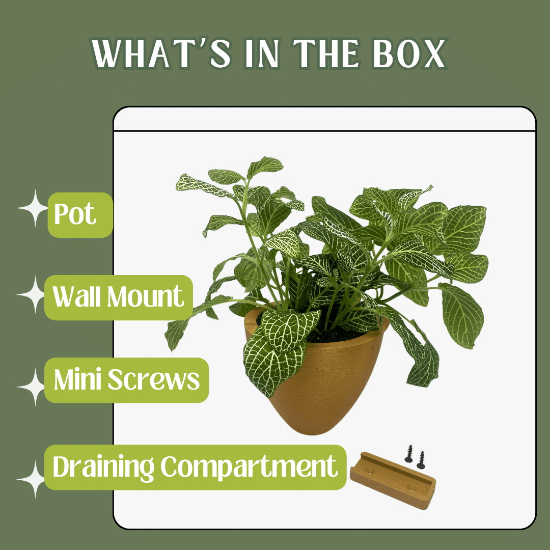 Magic Self-Watering Wall Planters with Internal Water Reservoir