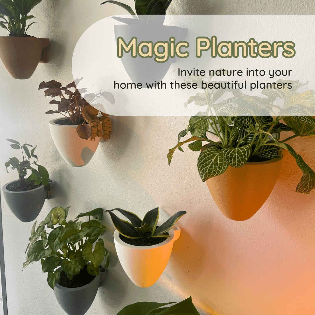 Magic Self-Watering Wall Planters with Internal Water Reservoir