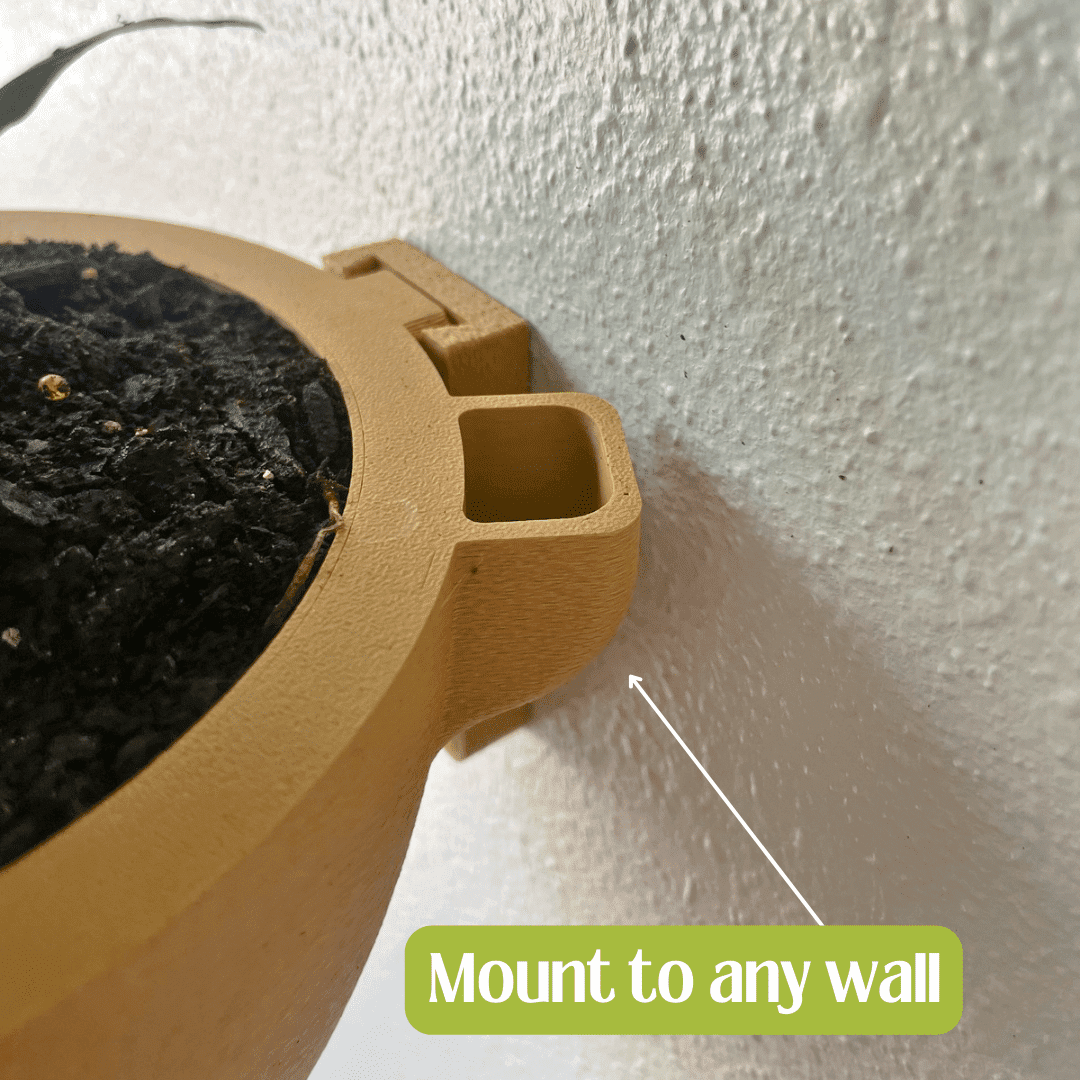 Magic Self-Watering Wall Planters with Internal Water Reservoir