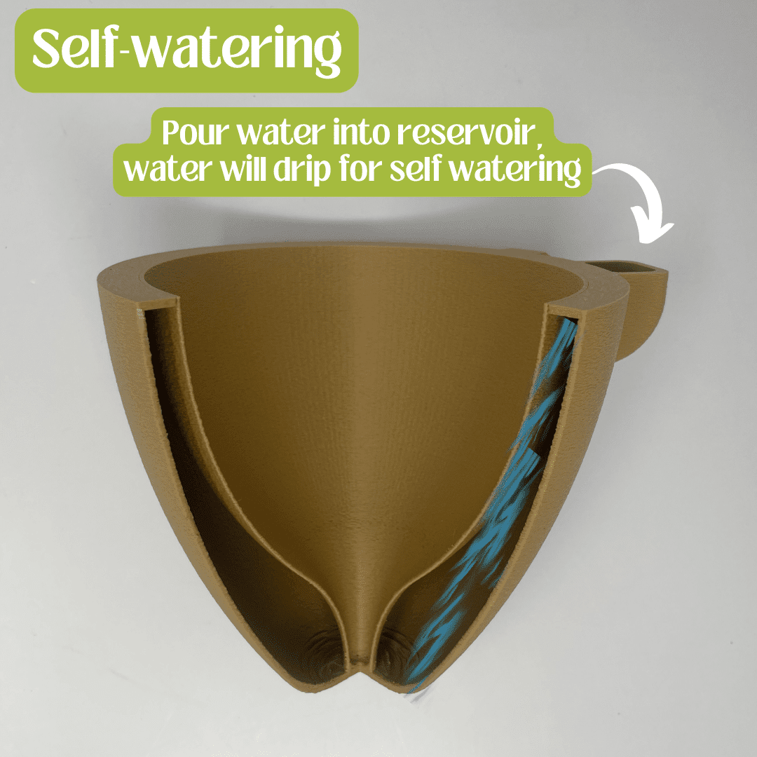 Magic Self-Watering Wall Planters with Internal Water Reservoir