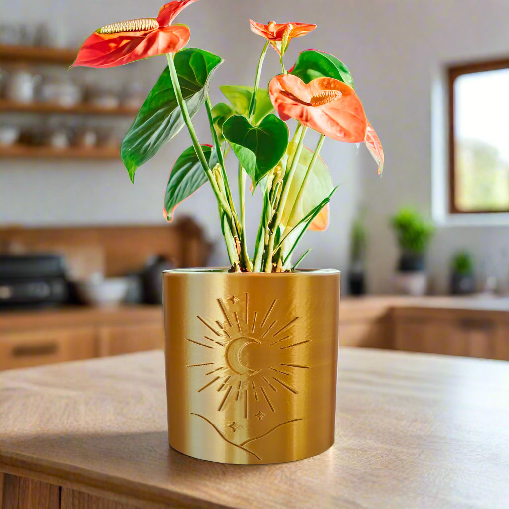 Moon Planter Decorative Garden Pot for Indoor Plants