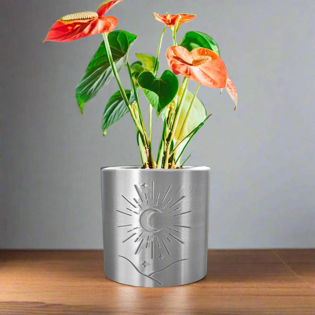 Moon Planter Decorative Garden Pot for Indoor Plants