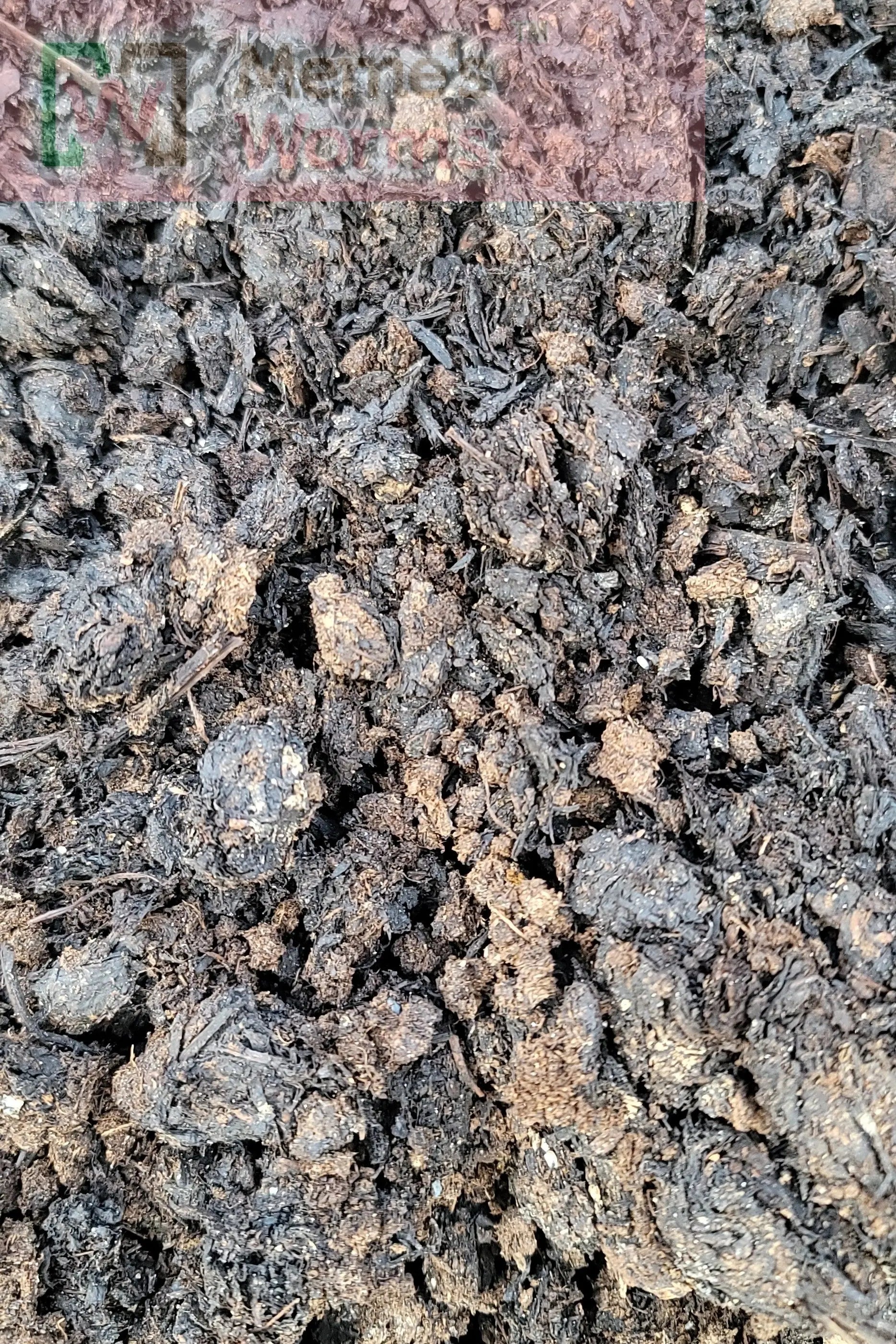 Mushroom Compost Organic Soil Amendment for Garden Plants