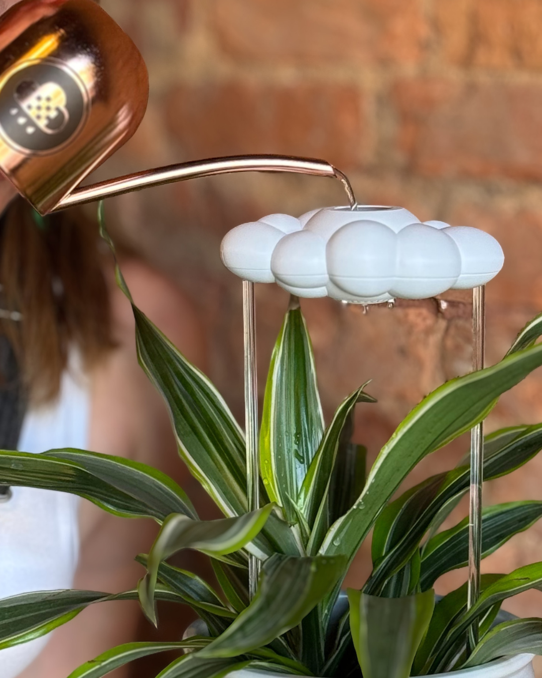Original Dripping Rain Cloud