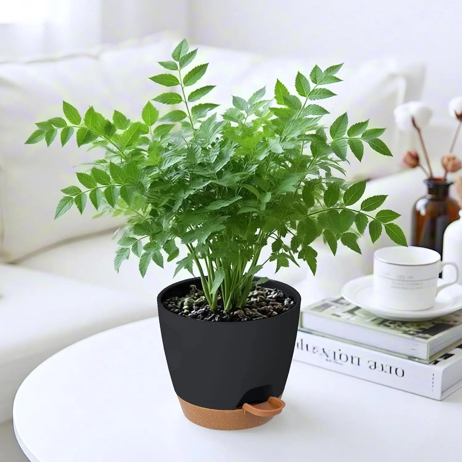 5-Pack Self-Watering Plant Pots with Drainage System