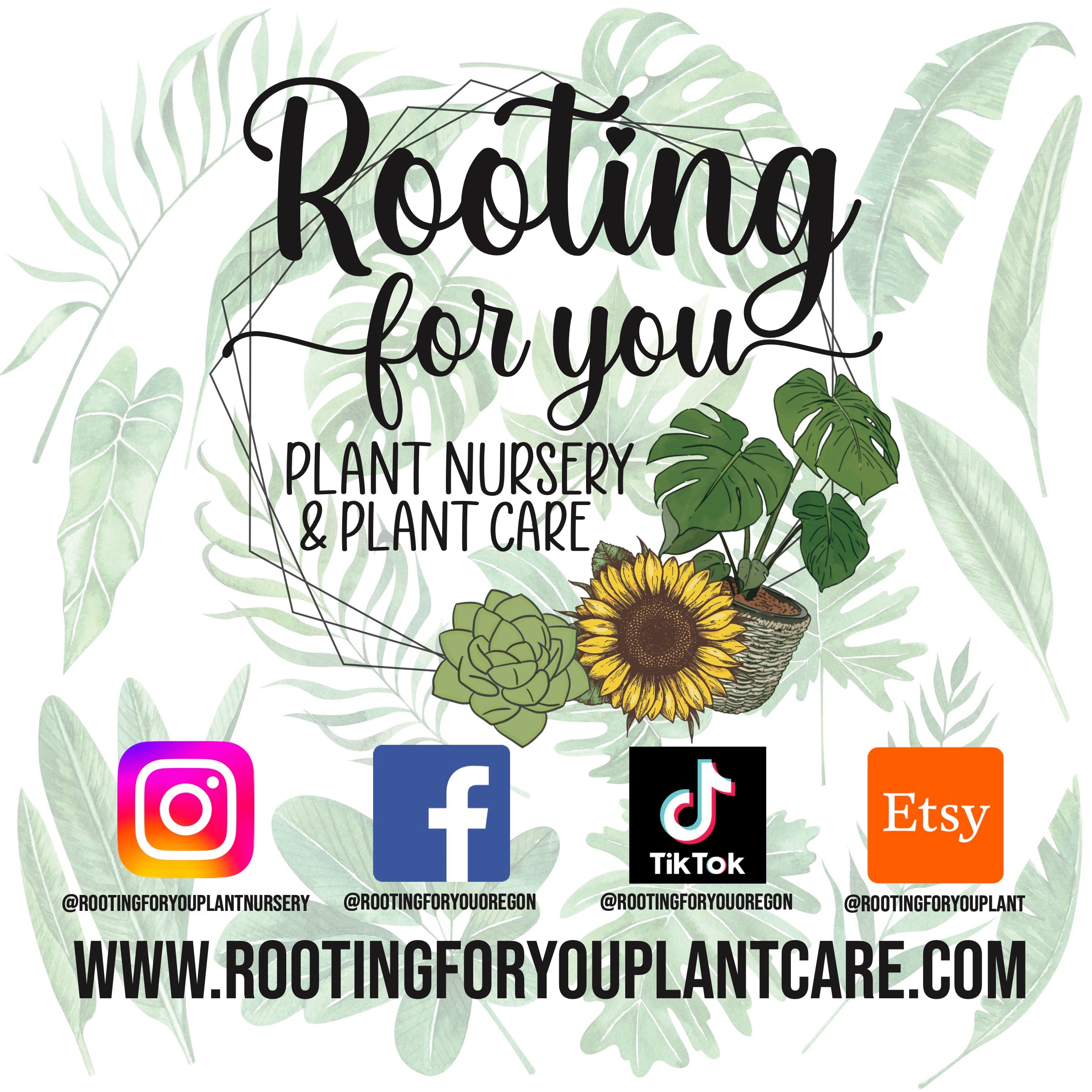 Plant Premium Potting Mix for Healthy Growth