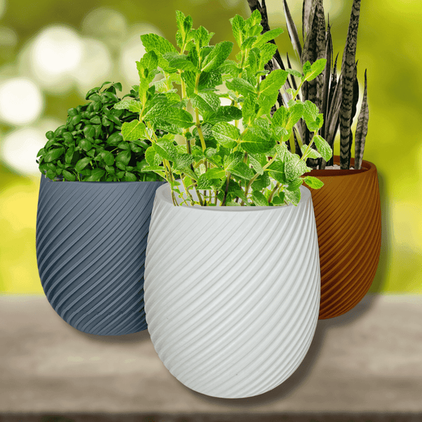 Spiral Design Wall Mounted Tabletop Planter Pot 5.5-Inch