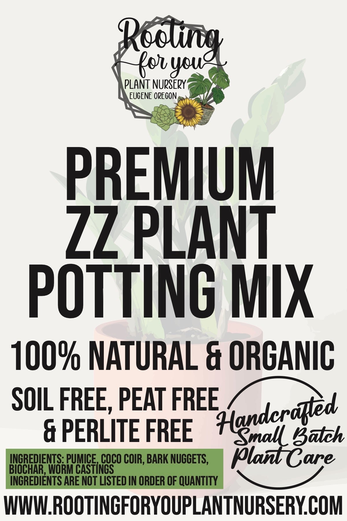 Plant Premium Potting Mix for Healthy Growth