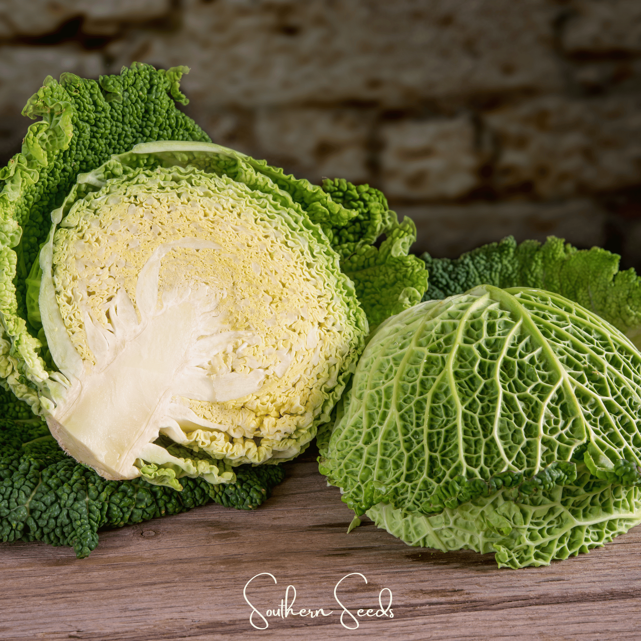 Savoy Cabbage 100 Seeds Heirloom Vegetable Garden Planting Pack Fresh
