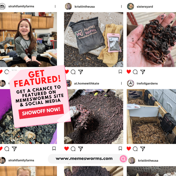 Oyster Shell Flour Organic Compost Soil Amendment Powder