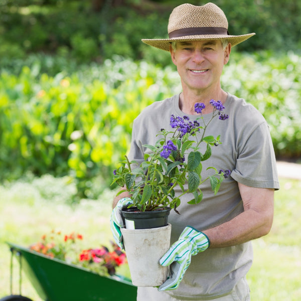 Man holding a potted plant in a garden