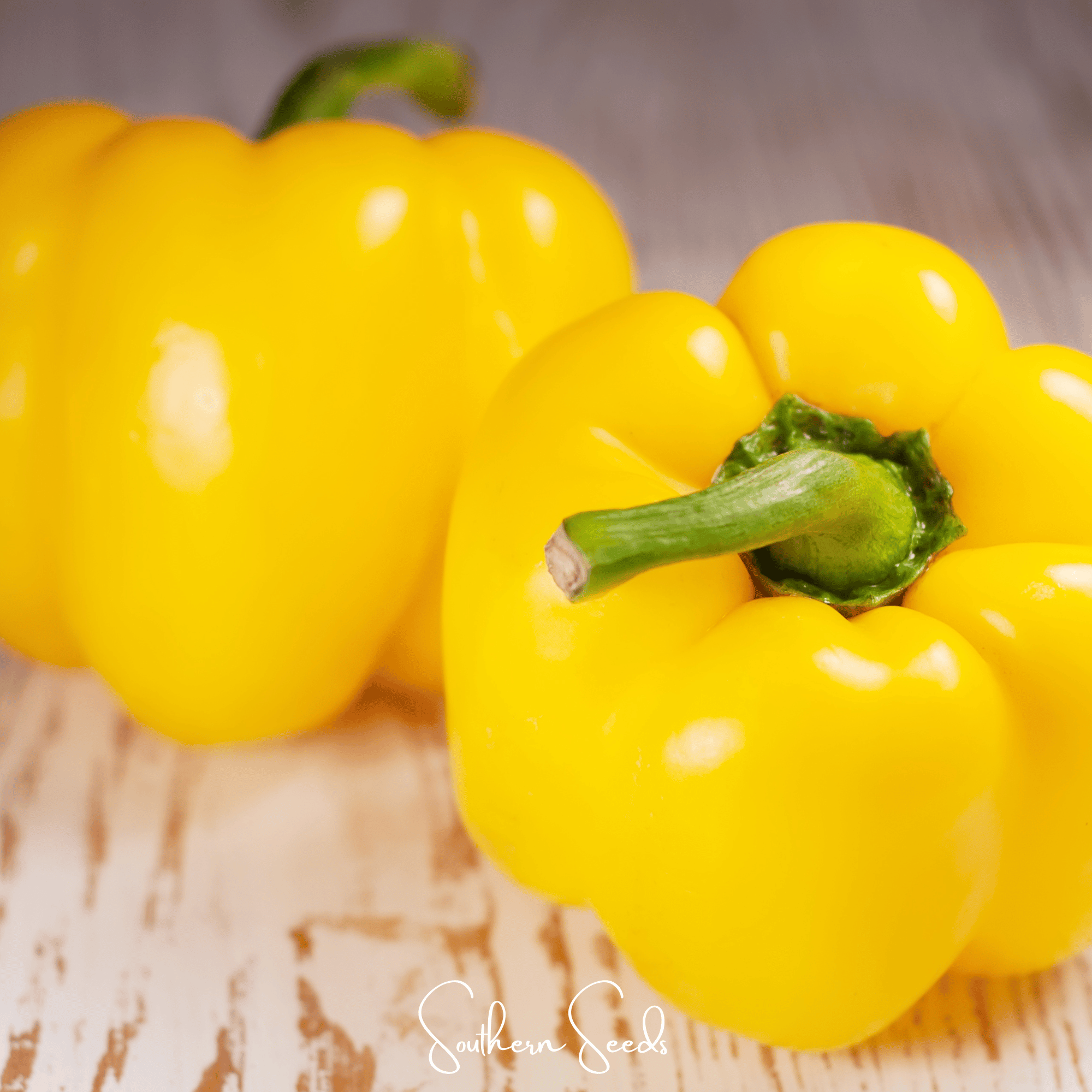 Sunbright Bell Pepper 30 Seeds Sweet Vegetable Garden Planting Pack