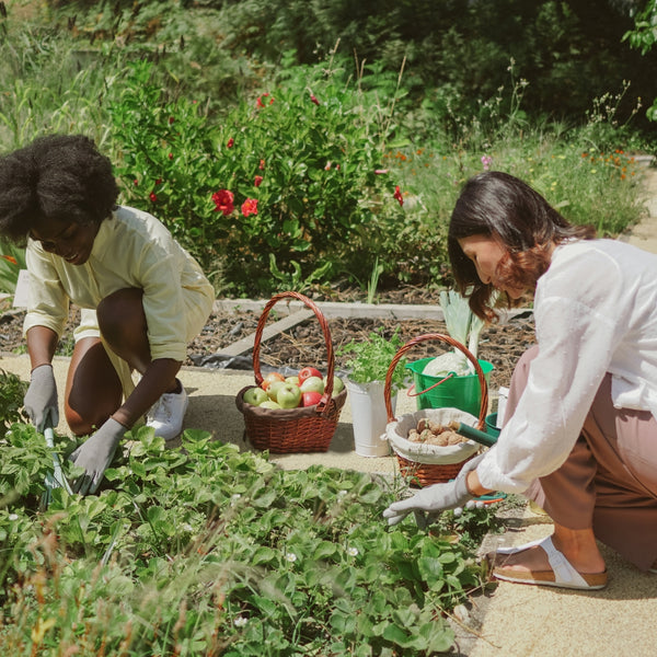 Two people gardening in a lush garden with baskets of harvested fruits.