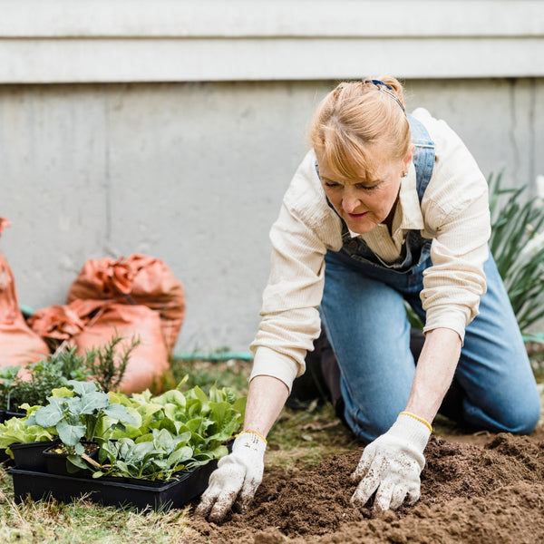Woman planting vegetables in a garden